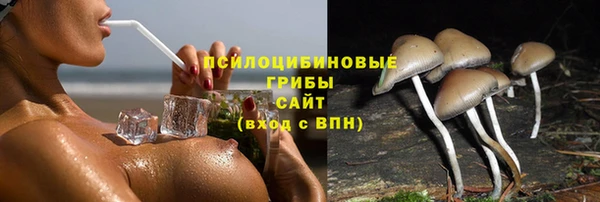 стафф Алексеевка